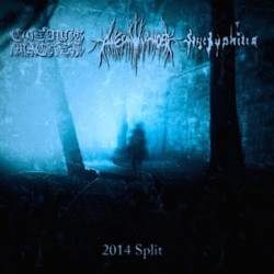 Anesmwythder : 2014 Split